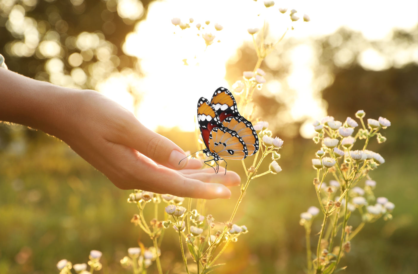 Waverley Counselling | 